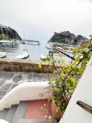 Apartamento Mammaamiiiaa!!!!! Exlusive Terrace In Chiaiolella