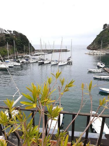 Apartamento Mammaamiiiaa!!!!! Exlusive Terrace In Chiaiolella
