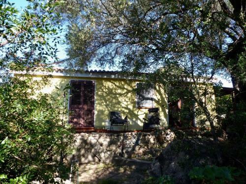 Apartamento Casa Zebra