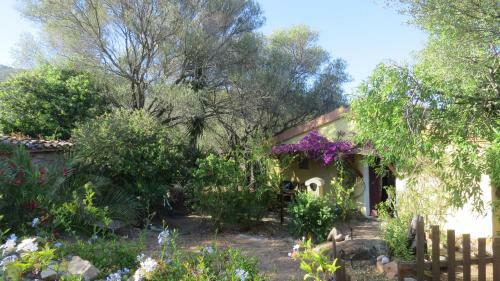 Apartamento Casa Zebra