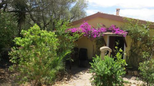 Apartamento Casa Zebra