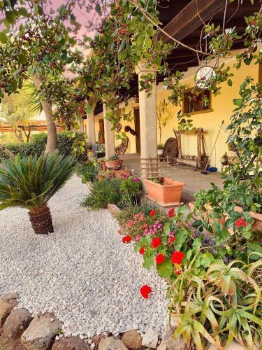 Agroturismo Agriturismo Da Lino