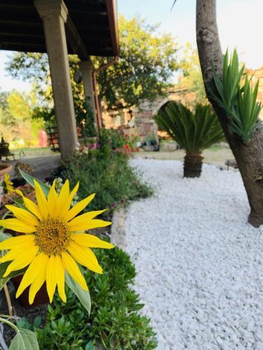Agroturismo Agriturismo Da Lino