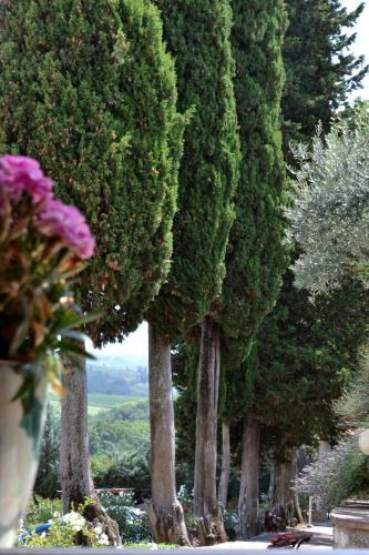 Agroturismo Podere Bellavista