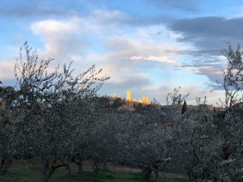 Agroturismo Podere Bellavista