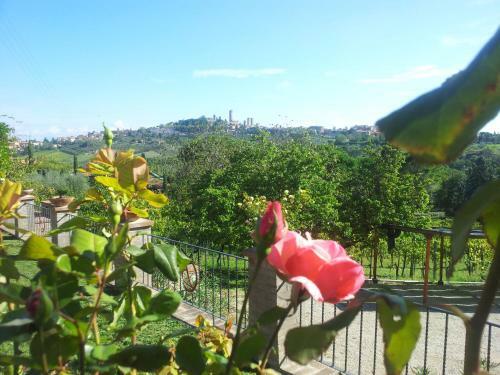 Agroturismo Podere Bellavista