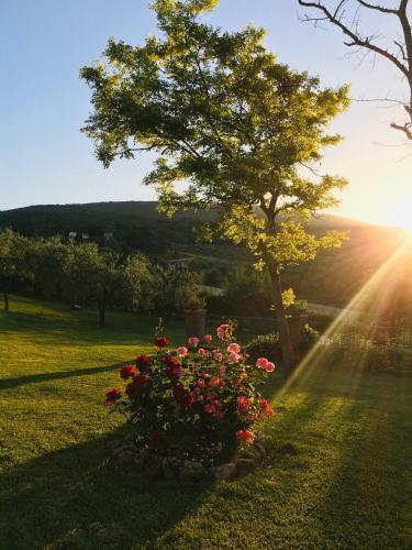 Agroturismo Podere Bellavista