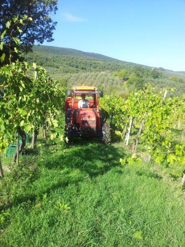 Agroturismo Podere Bellavista