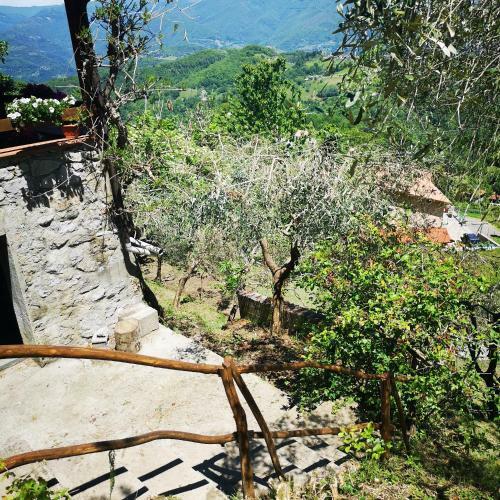 Ulivella Holiday Home