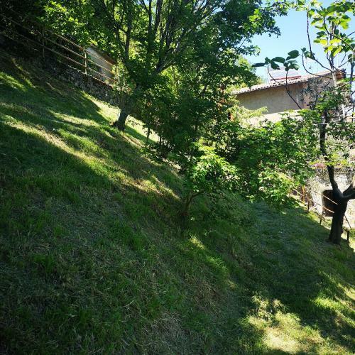 Ulivella Holiday Home