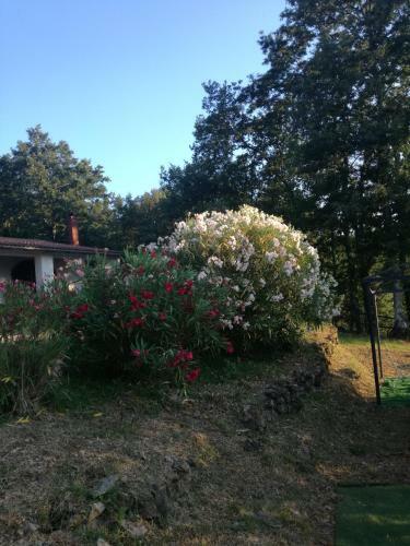 Apartamento Casetta Pescine