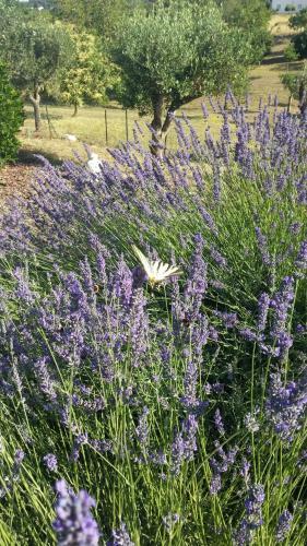 Bed & Breakfast Il Nostro Sogno