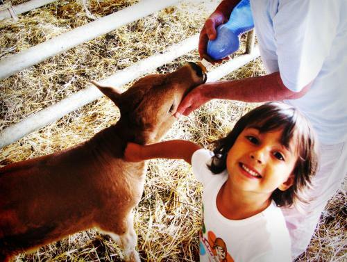 Agroturismo Fattoria Bio L'a Ceccoli