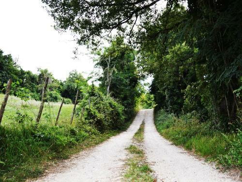 Agroturismo Fattoria Bio L'a Ceccoli