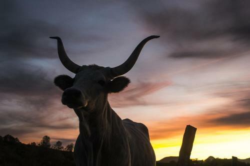 Agroturismo Fattoria Bio L'a Ceccoli