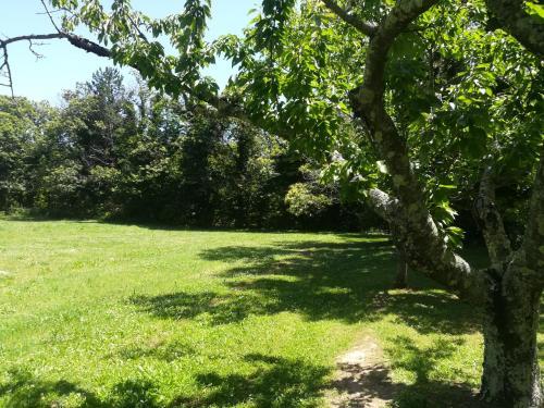 Apartamento Agriturismo Pagiano