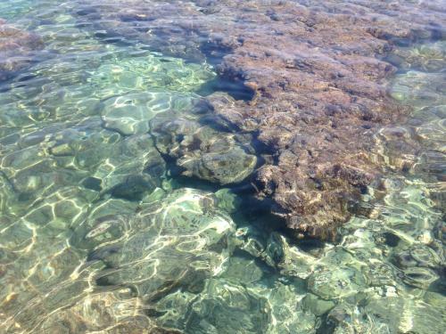 Apartamento Idea Mare