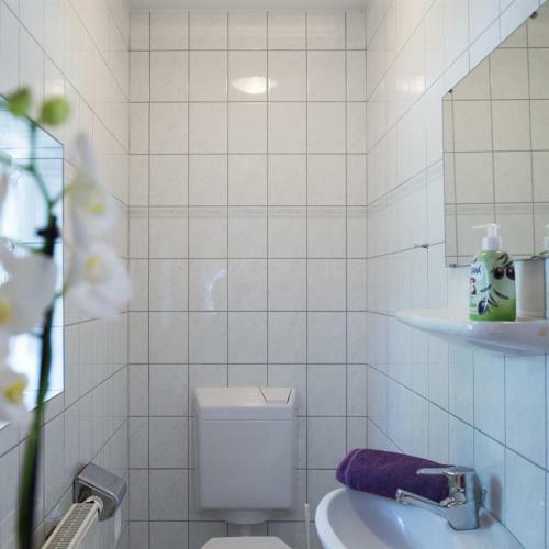 Ferienhaus Wiesenblick