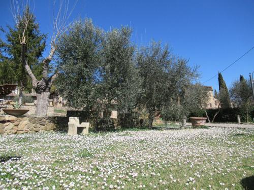 Apartamento Borgo Di Barigianino