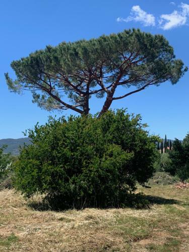 Agroturismo Operaviva