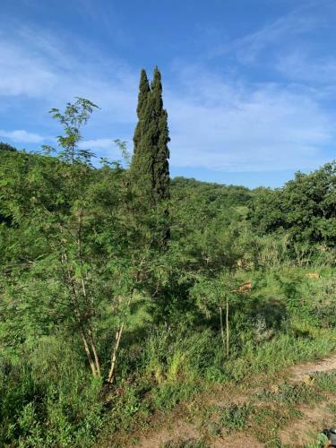 Agroturismo Operaviva