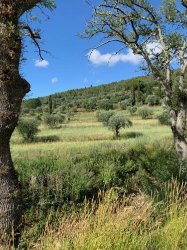 Agroturismo Operaviva