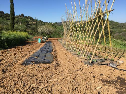 Podere Baloo Suvereto