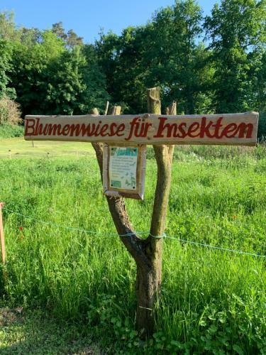 Apartamento Ferienwohnung Nationalpark