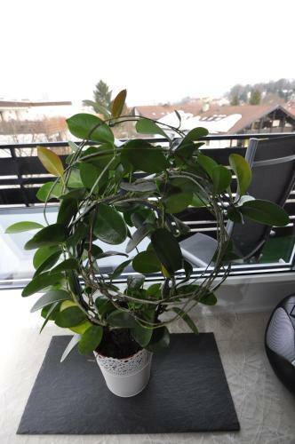 Apartamento Ferienwohnung-in-prien