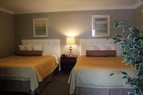 Willow Bend Motel