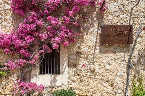 Hotel Son Ametler