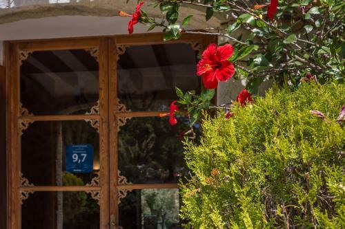 Hotel Son Ametler
