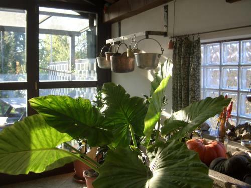 B&B Scaccia Pensieri