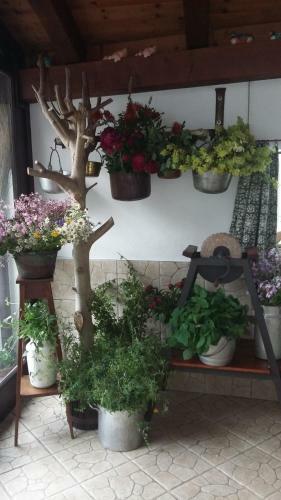 B&B Scaccia Pensieri