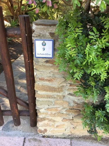 Villa Di Design Con Il Tetto Verde