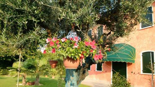 Bed & Breakfast Il Farfasole