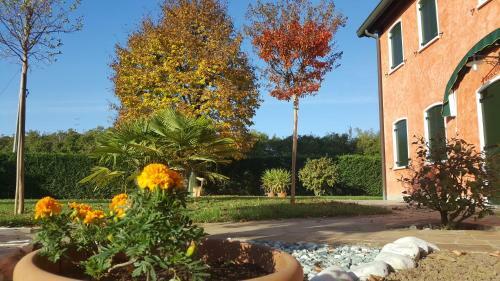 Bed & Breakfast Il Farfasole