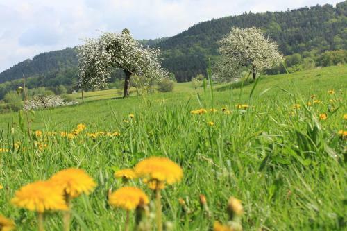Apartamento Ferienwohnung Drehwald