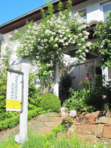 Apartamento Ferienwohnung Drehwald