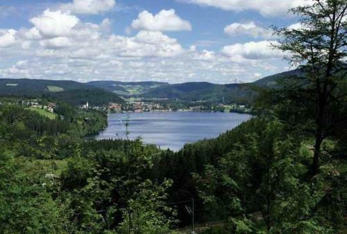 Apartamento Residenz Grafenmatt 2 1