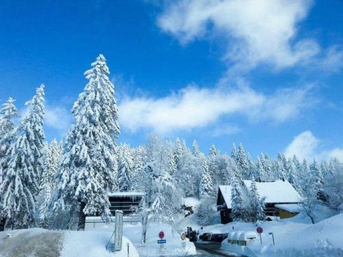Apartamento Residenz Grafenmatt 3 2