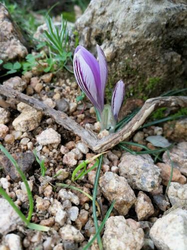 Apartamento Il Giardino All'angolo