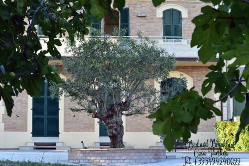 Bed & Breakfast Casa Vandina
