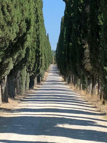 Agroturismo Podere La Casa