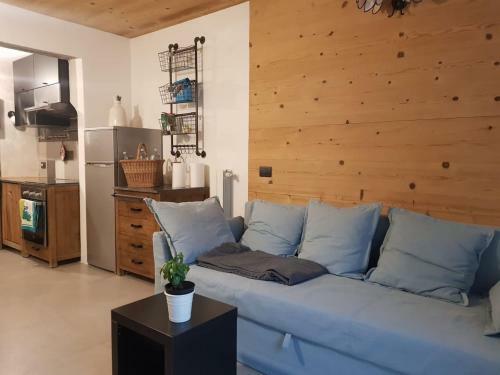 Milla Appartamento 4-6 Letti - 1km Ponte Di Legno T04416