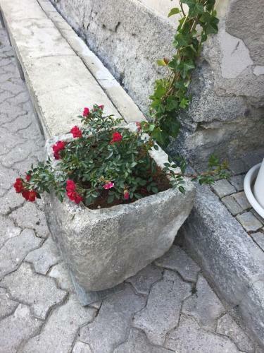 Milla Appartamento 4-6 Letti - 1km Ponte Di Legno T04416