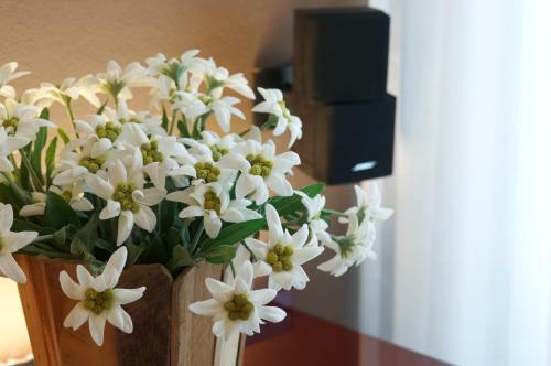 Apartamento Crioli Dolomiti Lodge