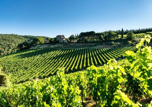 Villa Montemaggio By Mc Luxury Rentals