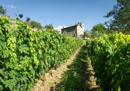 Villa Montemaggio By Mc Luxury Rentals