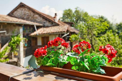 Aparthotel Albergo Diffuso "col Gentile" Socchieve